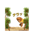 コハクちゃんの大冒険！（個別スタンプ：7）