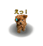 コハクちゃんの大冒険！（個別スタンプ：8）