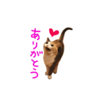 世界のメルちゃん1（個別スタンプ：3）