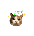 世界のメルちゃん1（個別スタンプ：13）