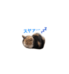 世界のメルちゃん1（個別スタンプ：15）