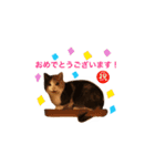 世界のメルちゃん1（個別スタンプ：22）