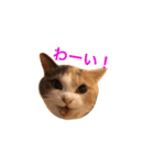 世界のメルちゃん1（個別スタンプ：28）