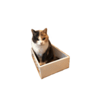 世界のメルちゃん1（個別スタンプ：34）