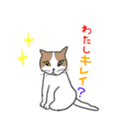 猫のふーちゃん（個別スタンプ：13）