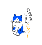 猫のふーちゃん（個別スタンプ：22）