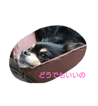 らぶりー クレア（個別スタンプ：2）