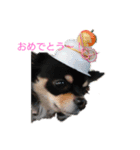 らぶりー クレア（個別スタンプ：5）