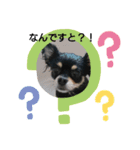 らぶりー クレア（個別スタンプ：7）