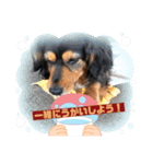 MIX犬のりんちゃん（個別スタンプ：2）