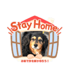 MIX犬のりんちゃん（個別スタンプ：3）