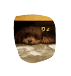 あゆみところたん（個別スタンプ：2）