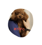 あゆみところたん（個別スタンプ：4）