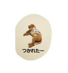 あゆみところたん（個別スタンプ：5）