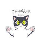 キジトラ＆ハチワレ（個別スタンプ：2）
