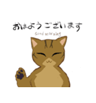 キジトラ＆ハチワレ（個別スタンプ：3）