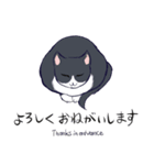 キジトラ＆ハチワレ（個別スタンプ：4）