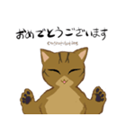 キジトラ＆ハチワレ（個別スタンプ：5）