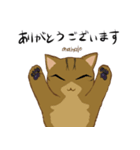 キジトラ＆ハチワレ（個別スタンプ：9）