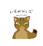 キジトラ＆ハチワレ（個別スタンプ：17）