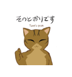 キジトラ＆ハチワレ（個別スタンプ：21）