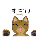キジトラ＆ハチワレ（個別スタンプ：23）