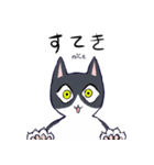 キジトラ＆ハチワレ（個別スタンプ：24）