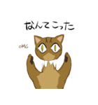キジトラ＆ハチワレ（個別スタンプ：27）