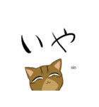 キジトラ＆ハチワレ（個別スタンプ：29）