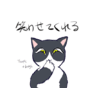 キジトラ＆ハチワレ（個別スタンプ：32）