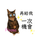 ネコちゃんJudy（個別スタンプ：18）
