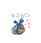 ハリネズミのよつば（韓国語）（個別スタンプ：5）
