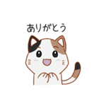 シンプル三毛猫スタンプ（個別スタンプ：1）