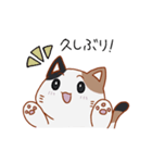 シンプル三毛猫スタンプ（個別スタンプ：7）
