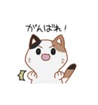 シンプル三毛猫スタンプ（個別スタンプ：11）