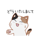 シンプル三毛猫スタンプ（個別スタンプ：12）