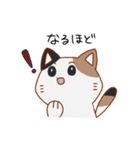シンプル三毛猫スタンプ（個別スタンプ：13）