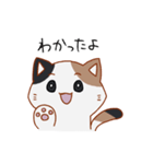 シンプル三毛猫スタンプ（個別スタンプ：14）