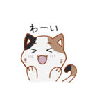 シンプル三毛猫スタンプ（個別スタンプ：18）