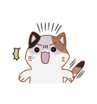 シンプル三毛猫スタンプ（個別スタンプ：19）