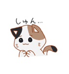 シンプル三毛猫スタンプ（個別スタンプ：20）