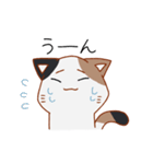 シンプル三毛猫スタンプ（個別スタンプ：21）