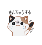 シンプル三毛猫スタンプ（個別スタンプ：23）