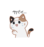 シンプル三毛猫スタンプ（個別スタンプ：33）