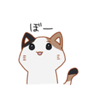 シンプル三毛猫スタンプ（個別スタンプ：34）