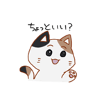 シンプル三毛猫スタンプ（個別スタンプ：37）