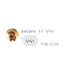 いいスタンプ（犬）（個別スタンプ：2）
