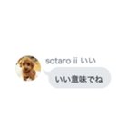 いいスタンプ（犬）（個別スタンプ：3）