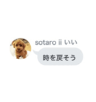 いいスタンプ（犬）（個別スタンプ：7）