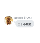 いいスタンプ（犬）（個別スタンプ：9）